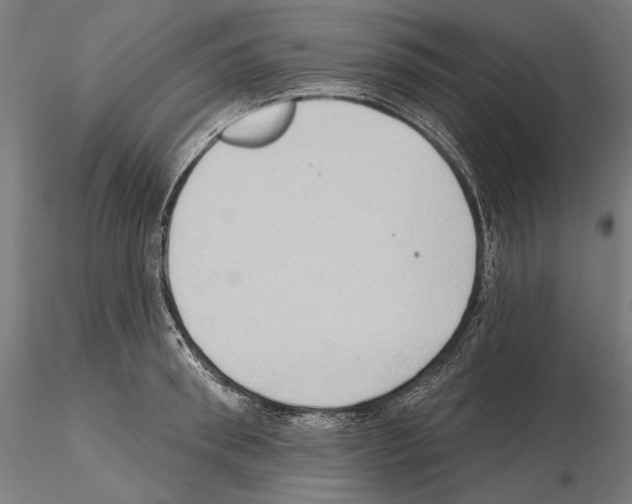 X0000114630898200912011022