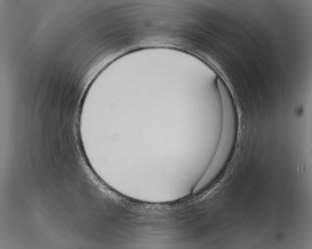 X0000114630901200912011022