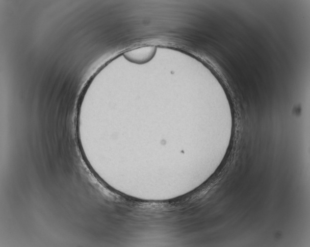 X0000114630902200912011022