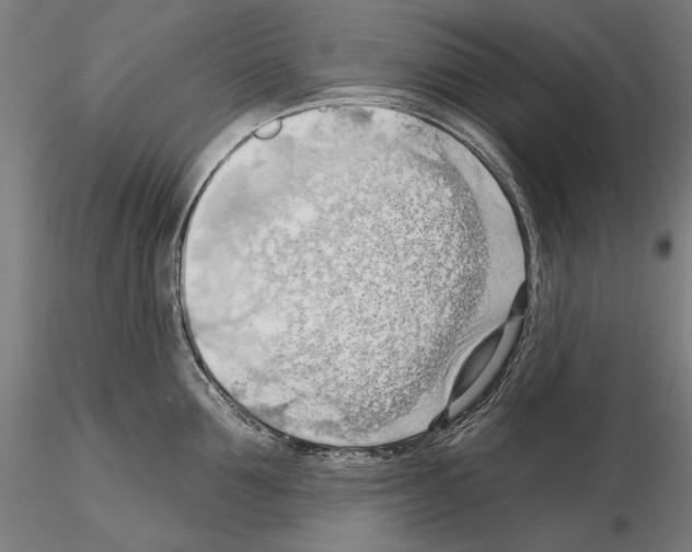 X0000114630907200912011022