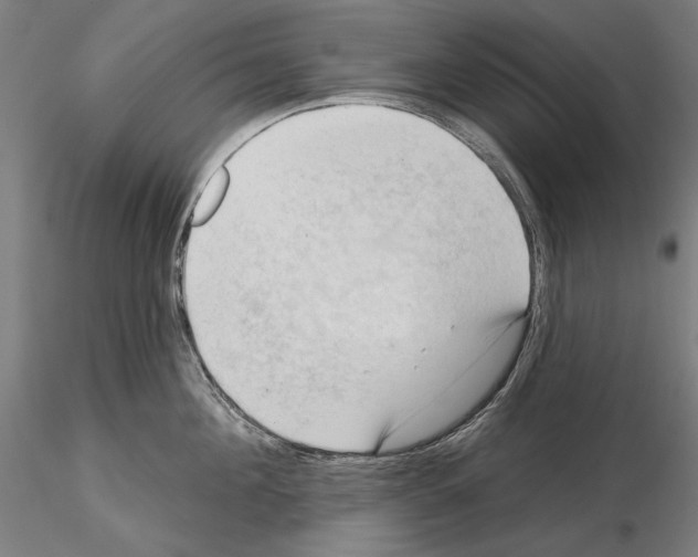 X0000114630908200912011022