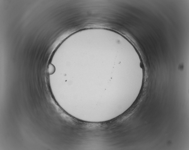 X0000114630909200912011022