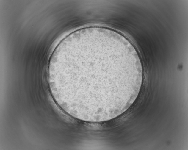 X0000114630911200912011022