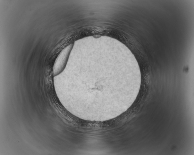 X0000114630914200912011021