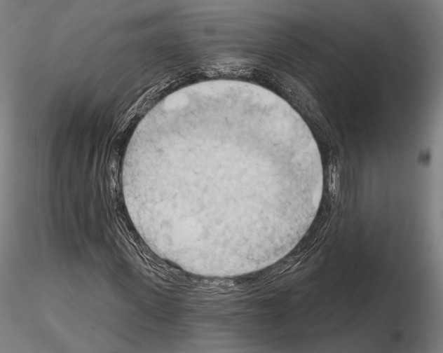 X0000114630915200912011021