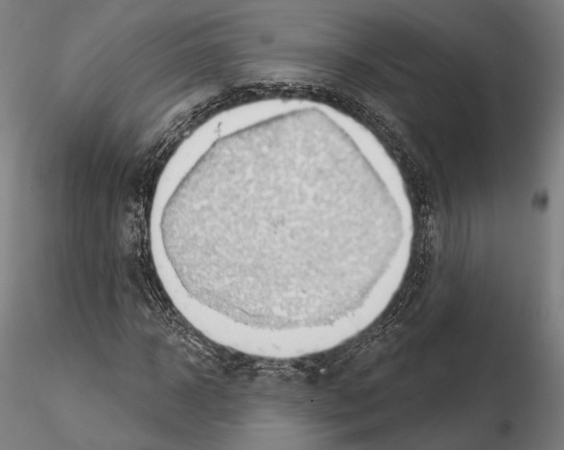 X0000114630918200912011021