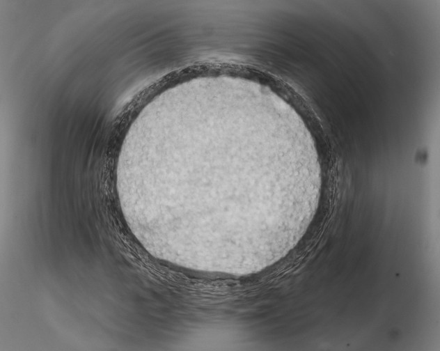 X0000114630919200912011021