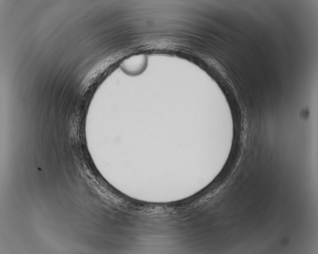 X0000114630922200912011021