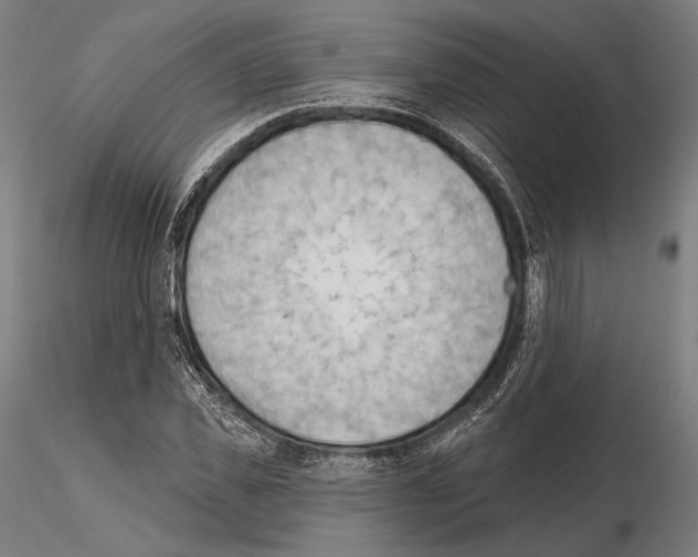 X0000114630925200912011021