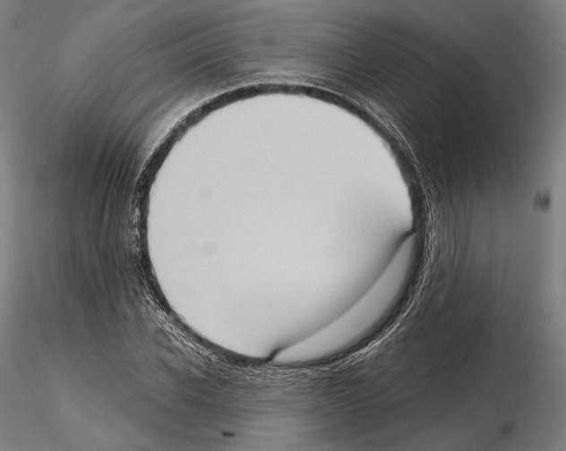 X0000114630926200912011021