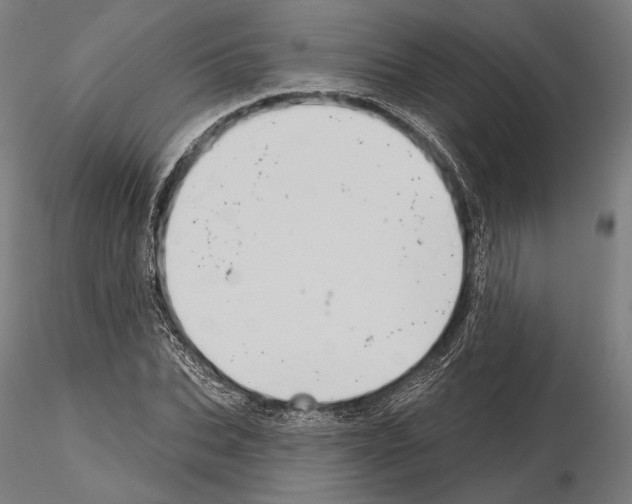 X0000114630927200912011021