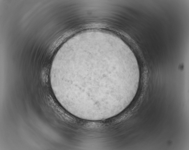 X0000114630929200912011021