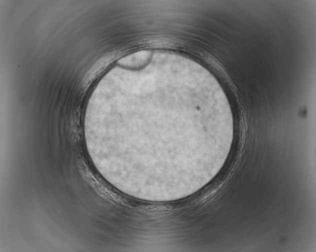 X0000114630930200912011021