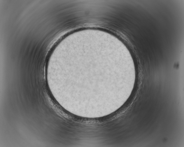 X0000114630934200912011021