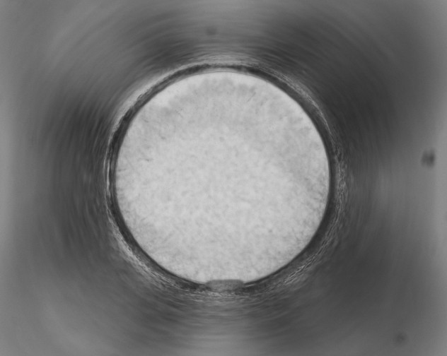 X0000114630935200912011022