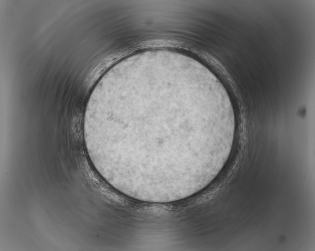 X0000114630937200912011022