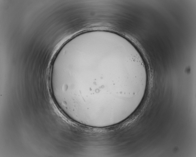 X0000114630941200912011022