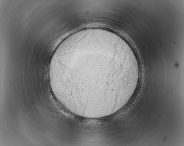 X0000114630945200912011022