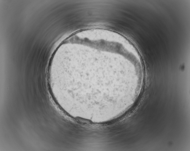 X0000114630949200912011022