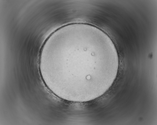 X0000114630950200912011022