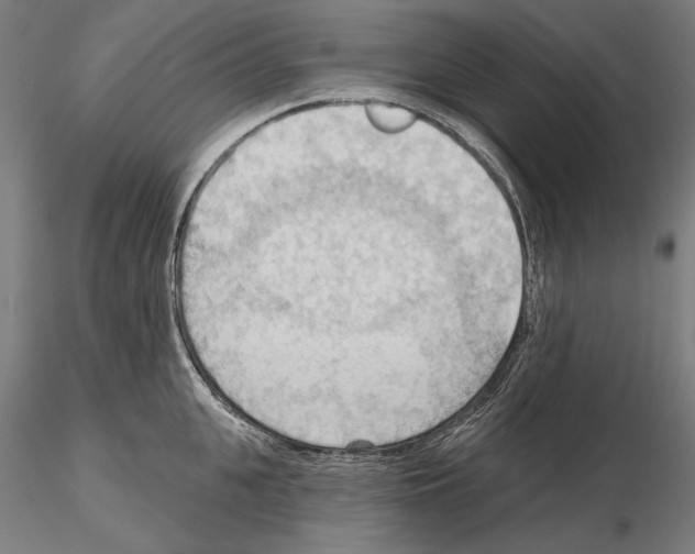 X0000114630951200912011022