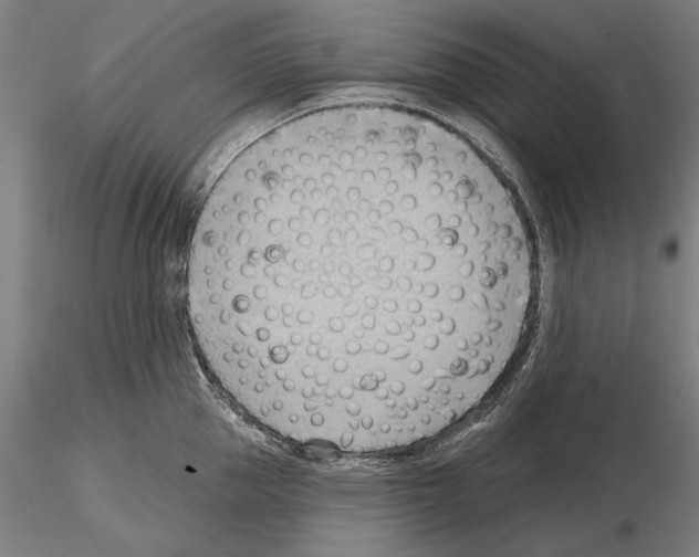 X0000114630953200912011022