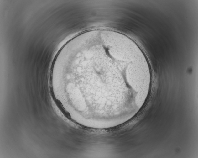 X0000114630957200912011022