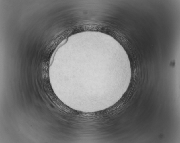 X0000114630964200912011021