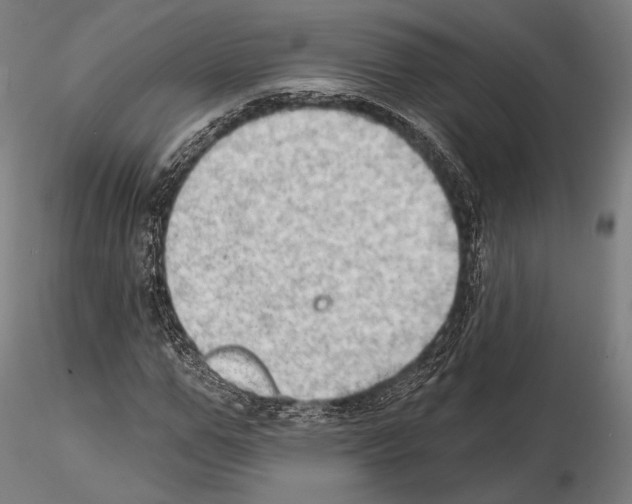 X0000114630967200912011021