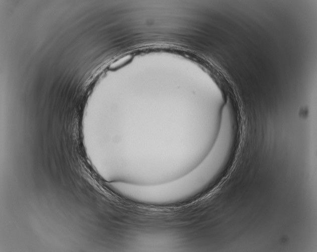 X0000114630969200912011021