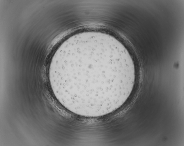 X0000114630970200912011021