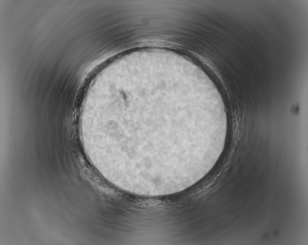 X0000114630971200912011021