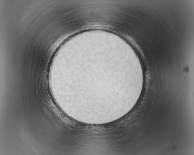 X0000114630972200912011021