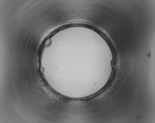 X0000114630973200912011021