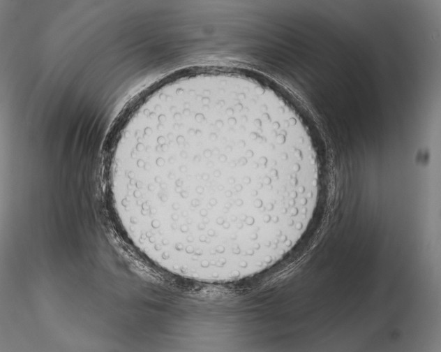 X0000114630974200912011021