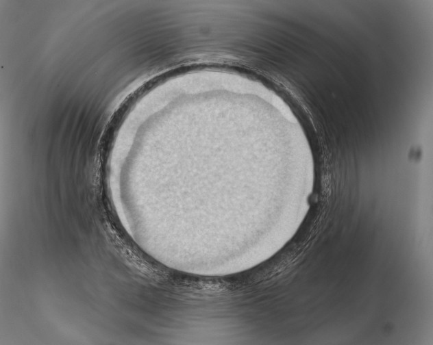 X0000114630975200912011021