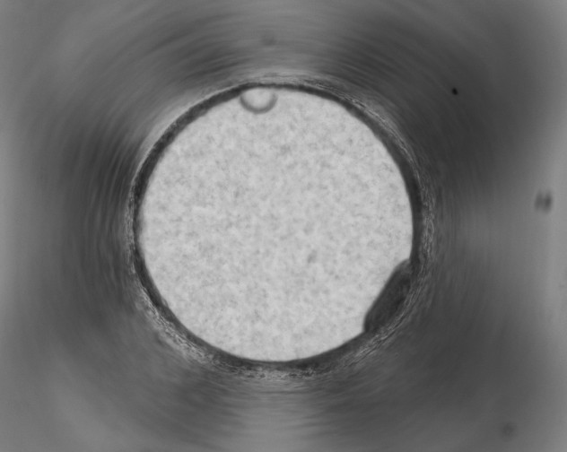 X0000114630976200912011021