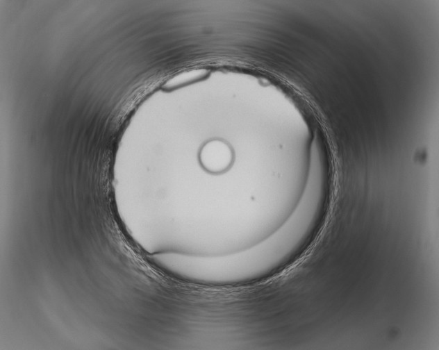 X0000114630977200912011021