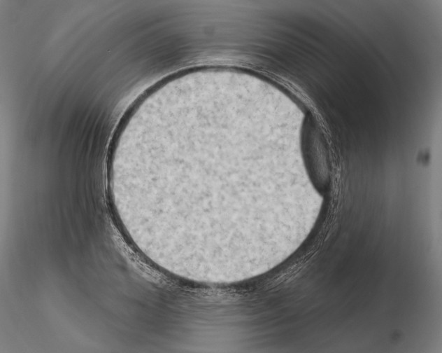 X0000114630980200912011021