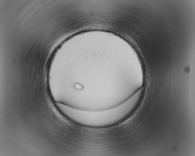 X0000114630981200912011021