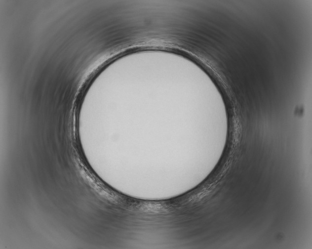 X0000114630982200912011021