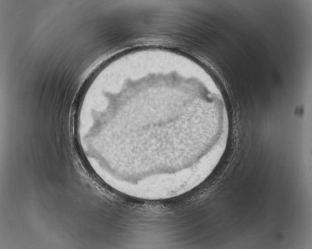 X0000114630983200912011021