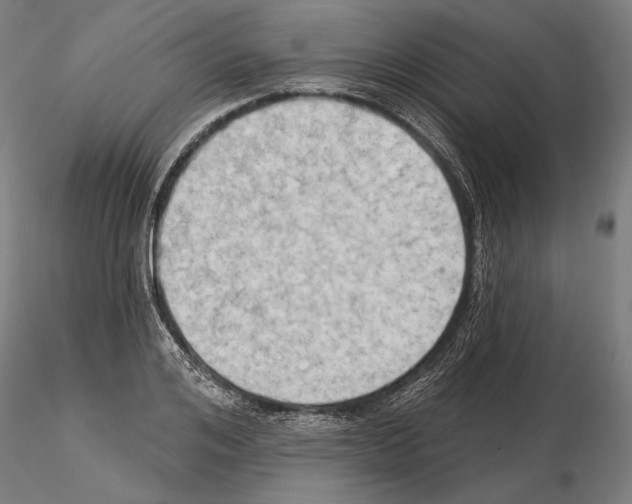 X0000114630984200912011021