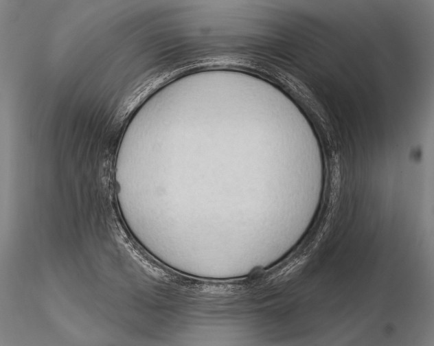 X0000114630985200912011021