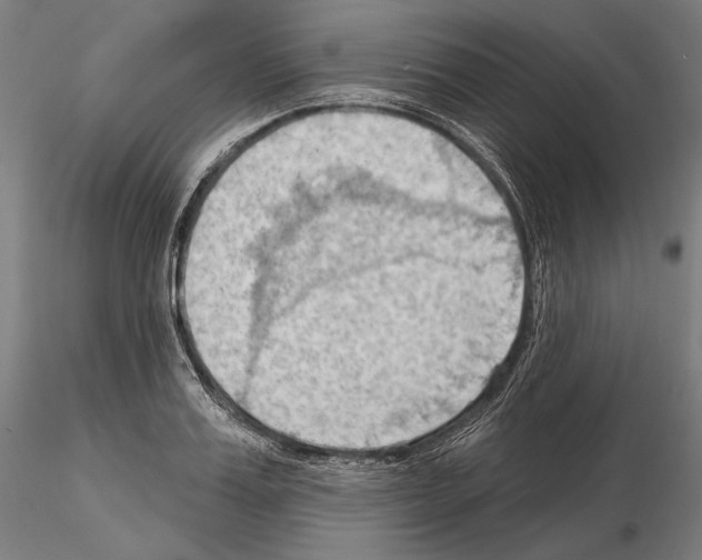 X0000114630987200912011021