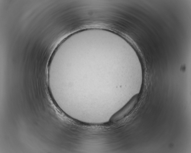 X0000114630988200912011021