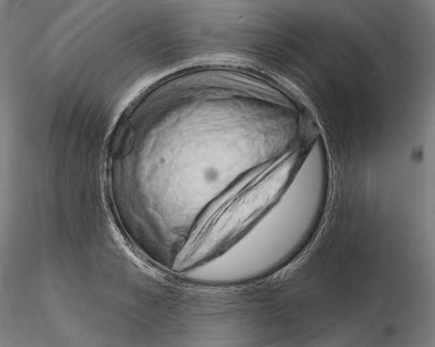 X0000114630989200912011021