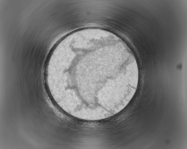 X0000114630991200912011021