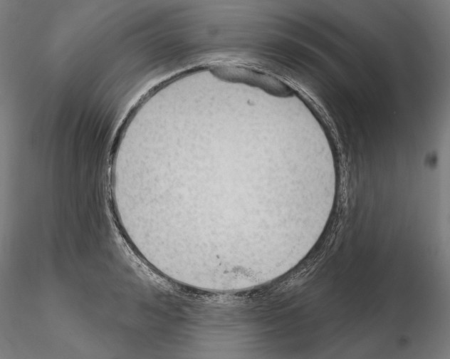 X0000114630992200912011021