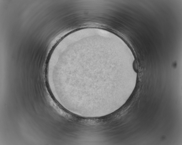 X0000114630995200912011021